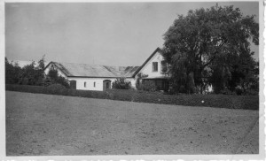 Børsbakkegård, Næsbyvej 3, 1950