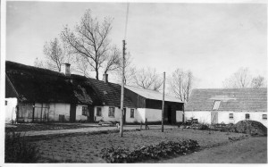 Esmosehusnee, Esmosevej 11, 1950